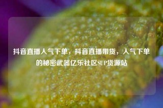 抖音直播人气下单，抖音直播带货，人气下单的秘密武器亿乐社区SUP货源站