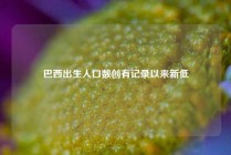 巴西出生人口数创有记录以来新低