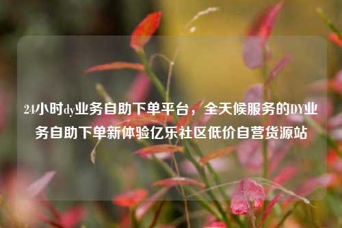 24小时dy业务自助下单平台	，全天候服务的DY业务自助下单新体验亿乐社区低价自营货源站  第1张