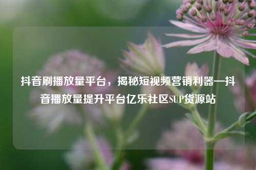 抖音刷播放量平台	，揭秘短视频营销利器—抖音播放量提升平台亿乐社区SUP货源站  第1张