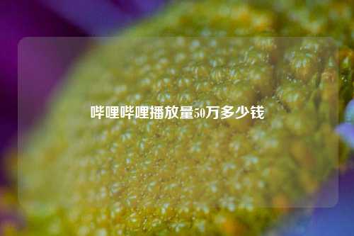 哔哩哔哩播放量50万多少钱  第1张