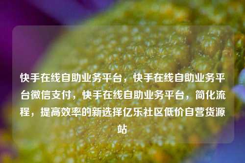 快手在线自助业务平台，快手在线自助业务平台微信支付，快手在线自助业务平台，简化流程	，提高效率的新选择亿乐社区低价自营货源站  第1张