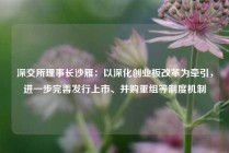 深交所理事长沙雁：以深化创业板改革为牵引，进一步完善发行上市、并购重组等制度机制