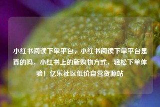 小红书阅读下单平台，小红书阅读下单平台是真的吗，小红书上的新购物方式，轻松下单体验！亿乐社区低价自营货源站
